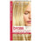 L'Oreal Paris Colorist Secrets Brass Banisher Colour Gloss Treatment
